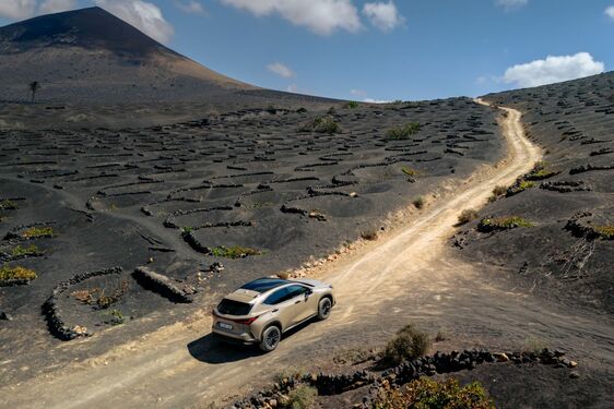 Lexus NX 350h Overtrail