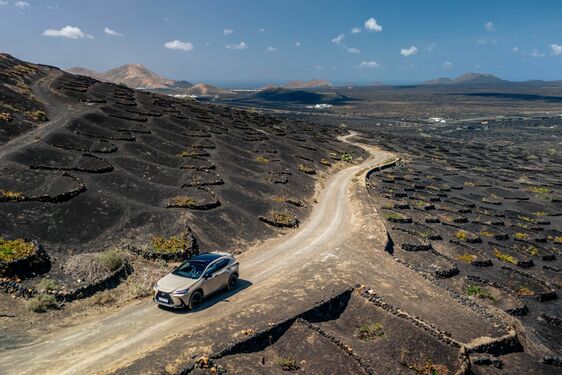 Lexus NX 350h Overtrail