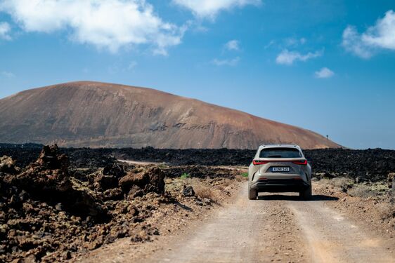Lexus NX 350h Overtrail