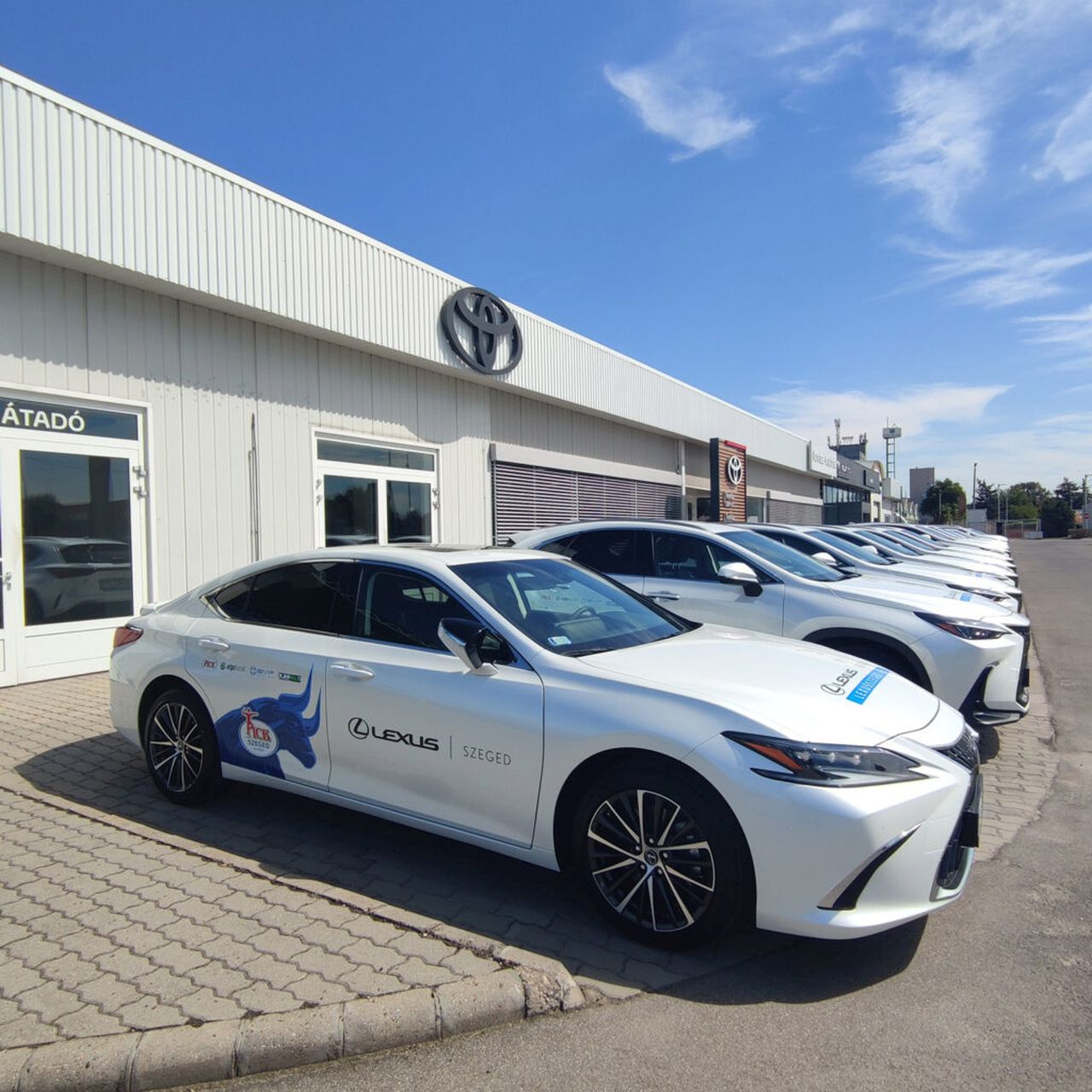 Tizennegyedik évébe lép az OTP Bank – PICK Szeged férfi kéziladba csapat és a Lexus partneri együttműködése 