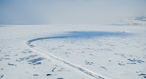 Lexus on ice