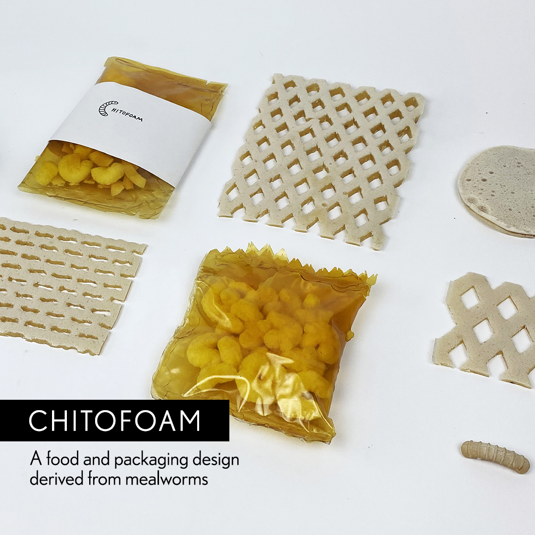 CHITOFOAM BY CHARLOTTE BÖHNING &amp; MARY LEMPRES