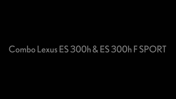 2021 Lexus ES 300h&300h F SPORT COMBO