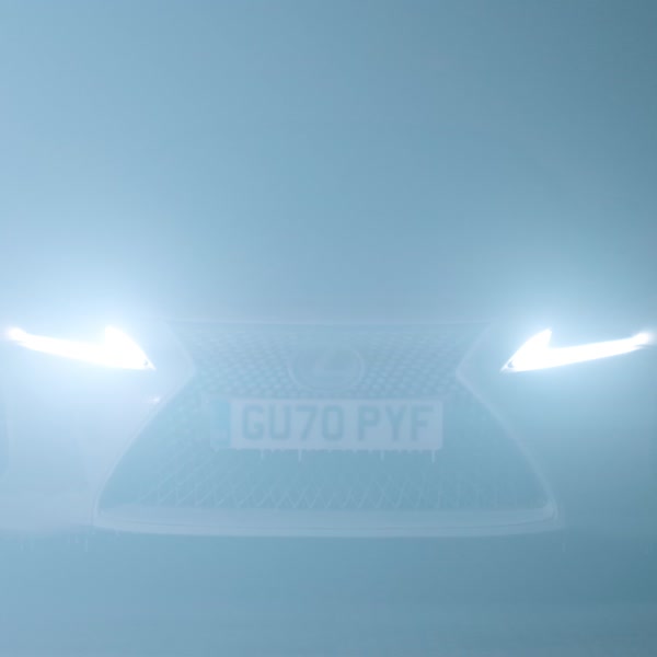 Frozen LC Ignition 1x1