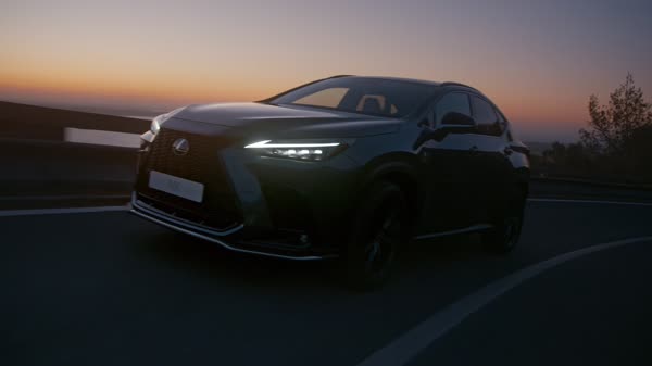 Lexus NX - Safety Cutdown