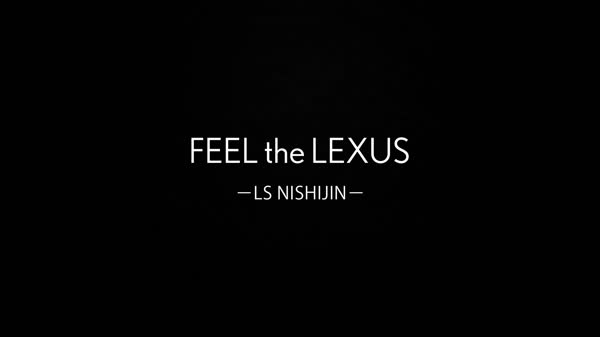 LS nishijin 15s low-low