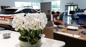 Lexus Kielce dołączył do sieci salonów Lexusa