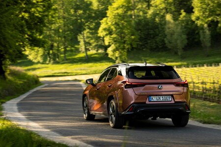 LEXUS UX 300h 2024