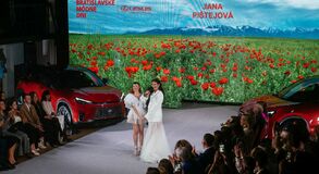 BMD Lexus 2024