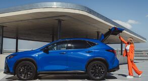 Lexus NX RX - local