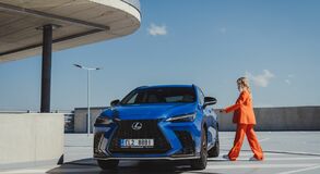Lexus NX RX - local