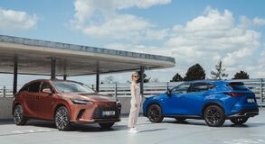 Lexus NX RX - local