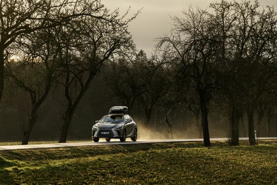 Lexus RX - local