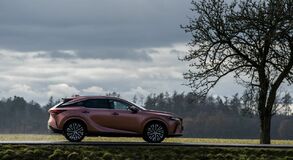 Lexus RX - local