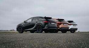 Lexus RX - local