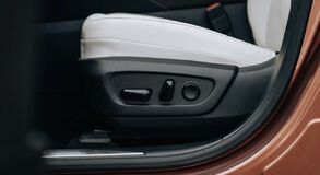Lexus RX - local