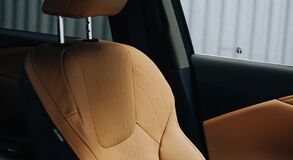Lexus RX - local