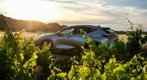 Lexus NX 2022