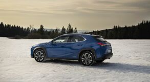 Lexus UX - local