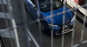Lexus UX - local