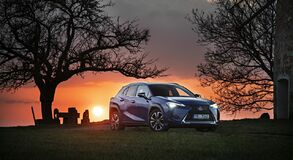 Lexus UX - local