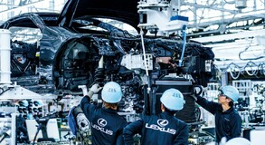 Lexus Plant