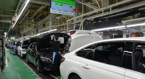 Lexus Plant