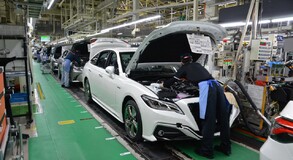 Lexus Plant