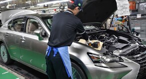 Lexus Plant