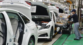 Lexus Plant