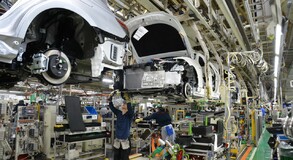 Lexus Plant