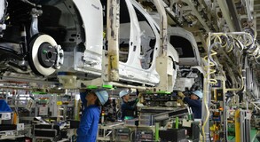 Lexus Plant