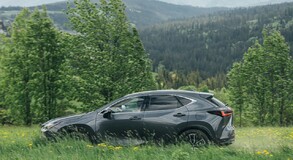 Lexus NX 2022