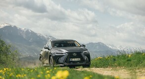 Lexus NX 2022