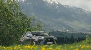 Lexus NX 2022