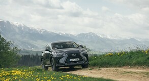 Lexus NX 2022