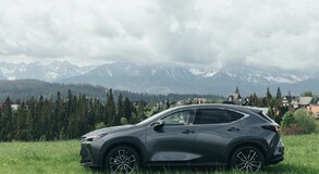 Lexus NX 2022