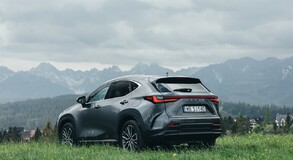 Lexus NX 2022