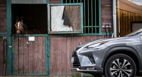 Lexus NX 300h - local