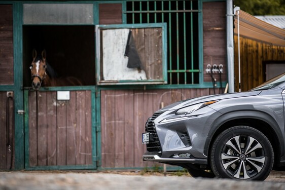 Lexus NX 300h - local