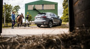 Lexus NX 300h - local