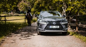 Lexus NX 300h - local