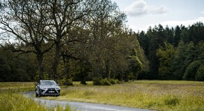 Lexus NX 300h - local