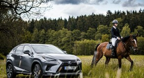 Lexus NX 300h - local