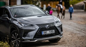 Lexus NX 300h - local