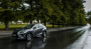 Lexus NX 300h - local