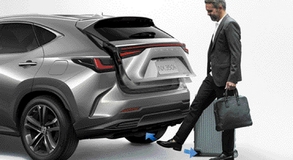 Lexus NX 2022