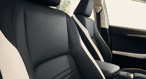 Lexus NX w nowej dynamicznej odsłonie z pakietem Black 
