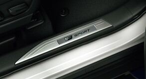 RZ 450e F SPORT 