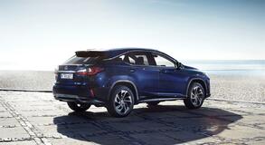 2016 RX